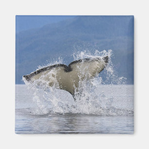 Canada, British Columbia, Vancouver Island, Magnet