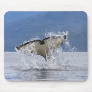 Canada, British Columbia, Vancouver Island, Mouse Pad