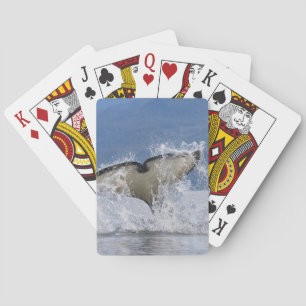 Canada, British Columbia, Vancouver Island, Playing Cards