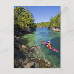 Canada, British Columbia, Vancouver Island. Sea Postcard