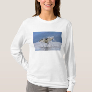 Canada, British Columbia, Vancouver Island, T-Shirt