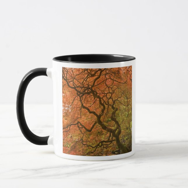 CANADA, British Columbia, Victoria. Autumn 2 Mug (Left)