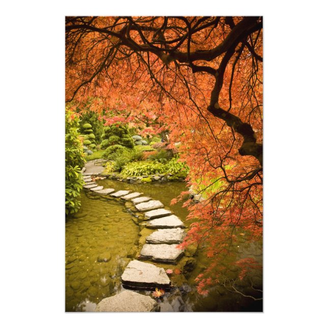 CANADA, British Columbia, Victoria. Autumn Photo Print (Front)