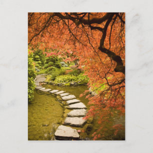 CANADA, British Columbia, Victoria. Autumn Postcard
