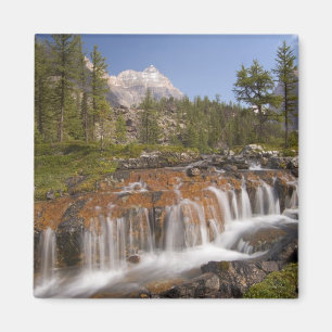 Canada, British Columbia, Yoho National Park. 2 Magnet