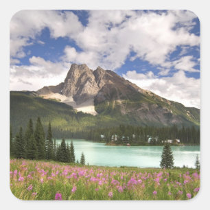 Canada, British Columbia, Yoho National Park. 3 Square Sticker