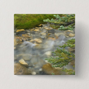 Canada, British Columbia, Yoho National Park. 4 15 Cm Square Badge