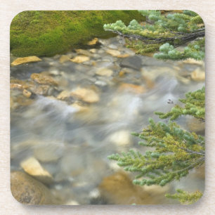 Canada, British Columbia, Yoho National Park. 4 Coaster