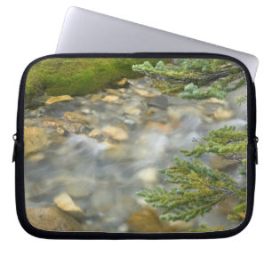 Canada, British Columbia, Yoho National Park. 4 Laptop Sleeve