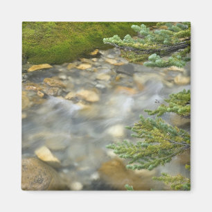 Canada, British Columbia, Yoho National Park. 4 Magnet