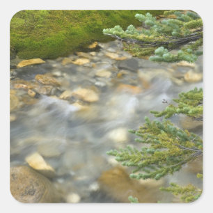 Canada, British Columbia, Yoho National Park. 4 Square Sticker