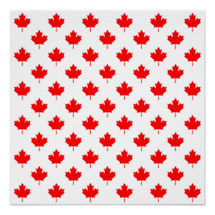 canada country flag symbol maple leaf pattern text poster