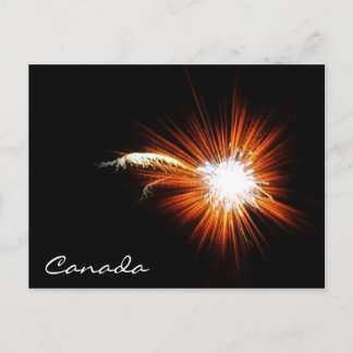Canada Day Fireworks Postcard