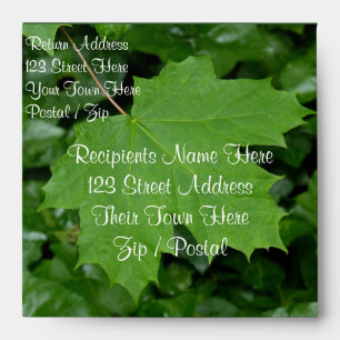 Canada Envelopes Personalised Maple Leaf Envelope