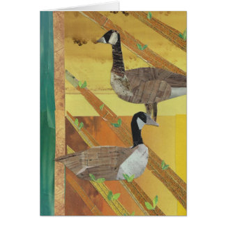Canada Geese