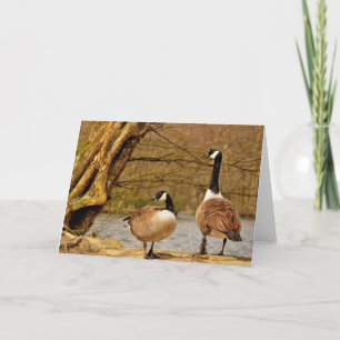 canada geese002 card