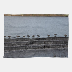 Canada Geese All In A Row Tea Towel