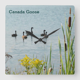 Canada Geese And Cattails Square Wall Clock