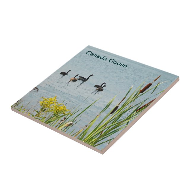 Canada Geese And Cattails Tile (Side)