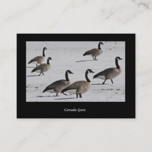Canada Geese ATC Business Card