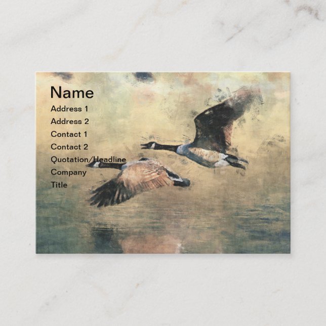 Canada Geese  Business Card (Front)