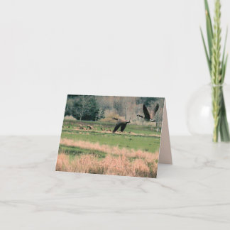 Canada Geese & Elk Thank You Card
