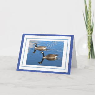 Canada Geese Greetings Card