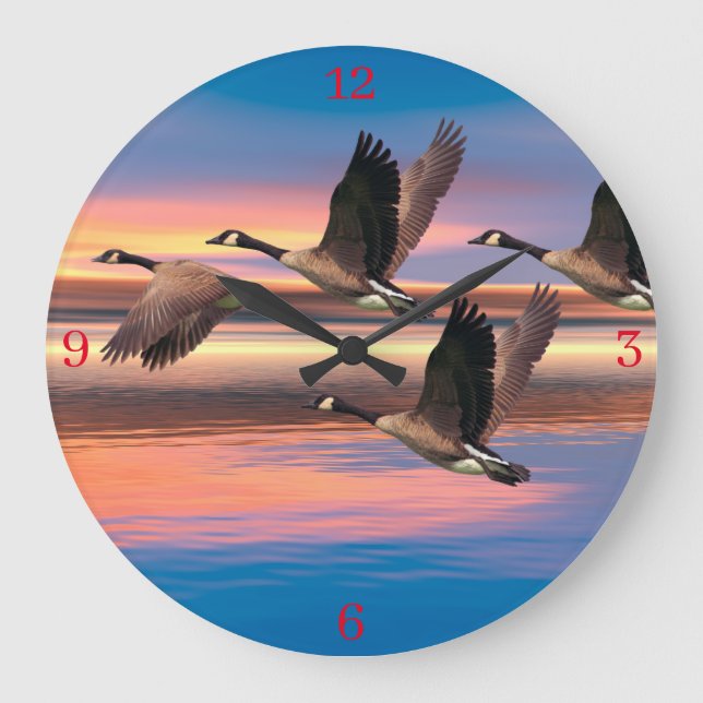 Canada Geese image for Acrylic Wall Clock (Front)
