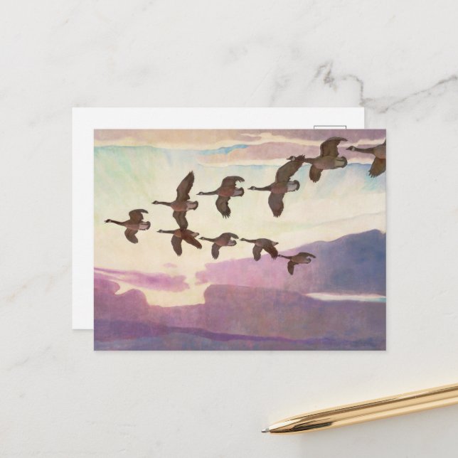 Canada Geese in Spring by Newell Convers Wyeth Holiday Postcard (Front/Back In Situ)