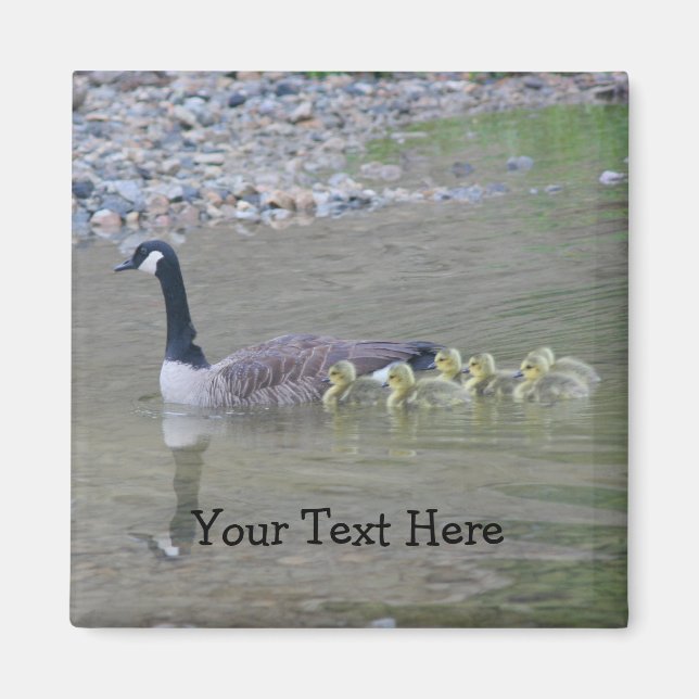 Canada Geese Mum Babies Nature Photo Magnet (Front)