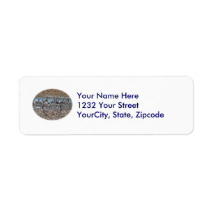 Canada Geese on Green Lane Reservoir Return Address Label
