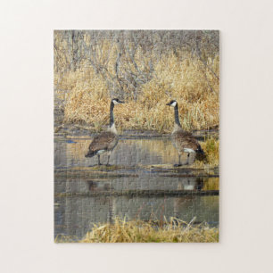 Canada Geese Puzzle