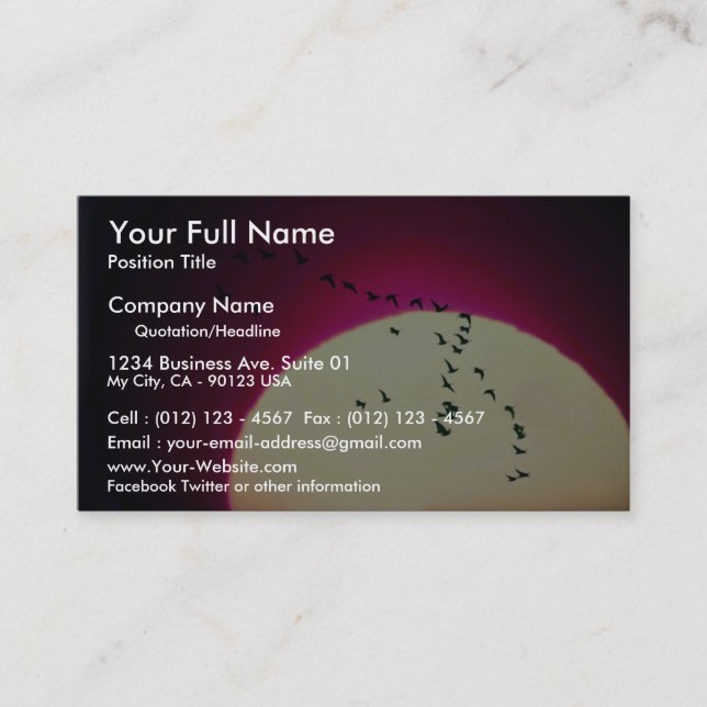 Canada geese silhouetted against setting sun business card (Front)