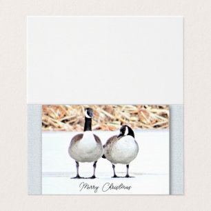 Canada Geese Two - Blank
