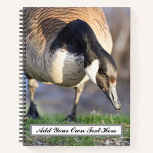 Canada Goos Notebook