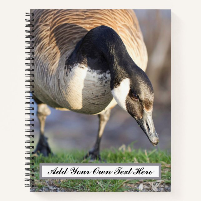 Canada Goos Notebook (Front)