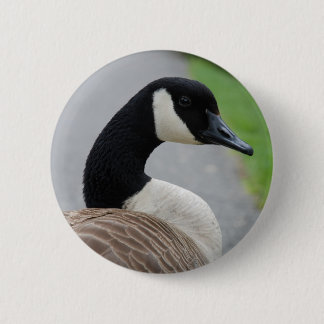 Canada goose 6 cm round badge