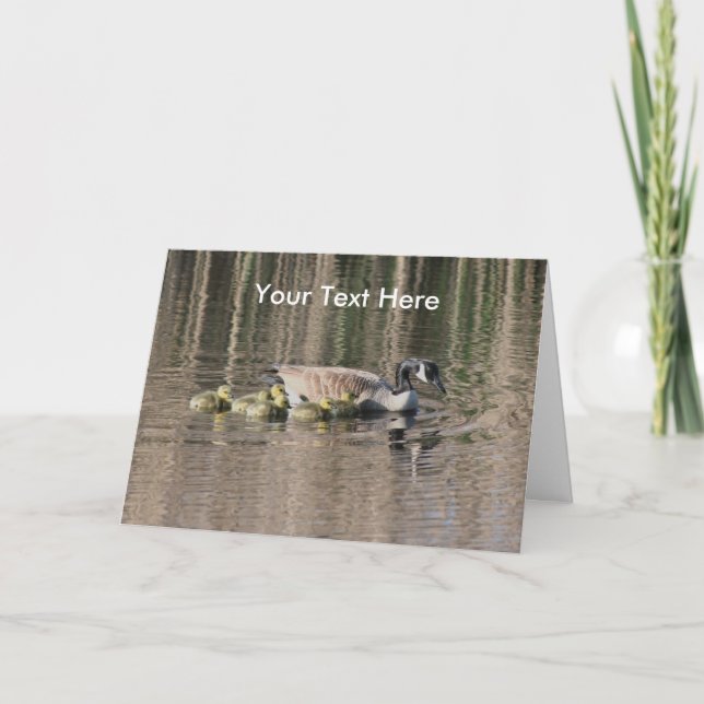 Canada Goose And Babies Nature Photo Card (Front)