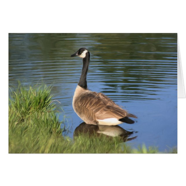 Canada Goose Animal Art Card (Front Horizontal)