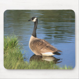 Canada Goose Animal Art  Mouse Pad