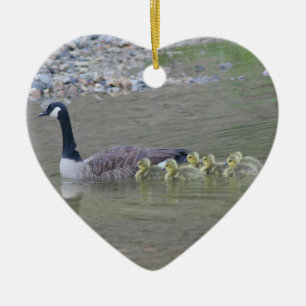 Canada Goose Babies 3 Animal Ornament