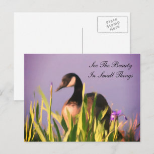 Canada Goose Beauty Inspirational  Postcard