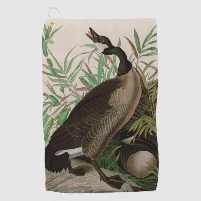 Canada Goose Birds of America Audubon Print Golf Towel (Front)