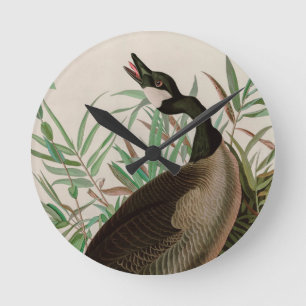 Canada Goose Birds of America Audubon Print Round Clock