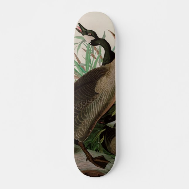 Canada Goose Birds of America Audubon Print Skateboard (Front)