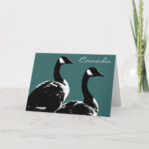 Canada Goose Cards Canada Geese Greeting Cards