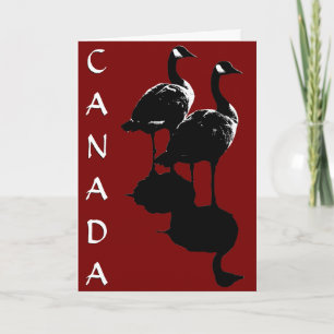 Canada Goose Cards Canada Geese Greeting Cards