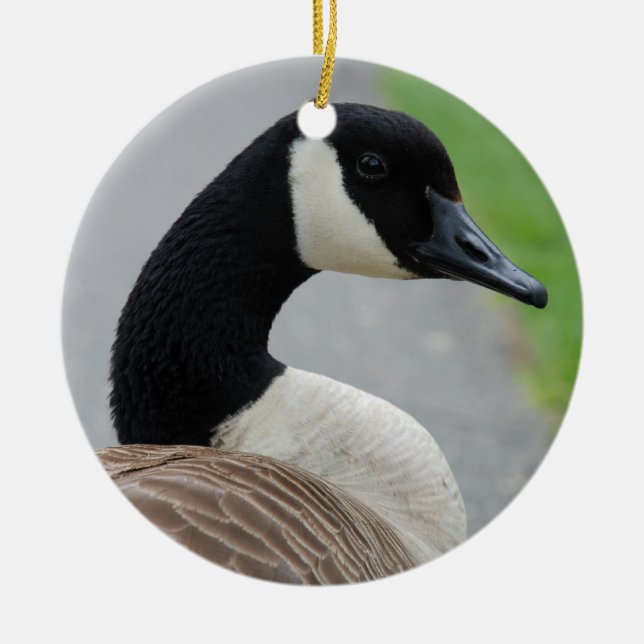Canada goose ceramic ornament (Front)