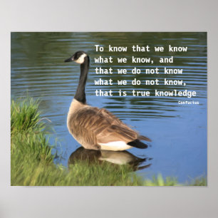 Canada Goose Confucius Quote Inspirational Poster