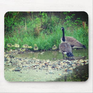 Canada Goose Family Babies Nature Mouse Pad